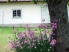 Swedish garden